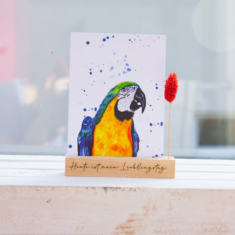 Postkarte "Papagei"