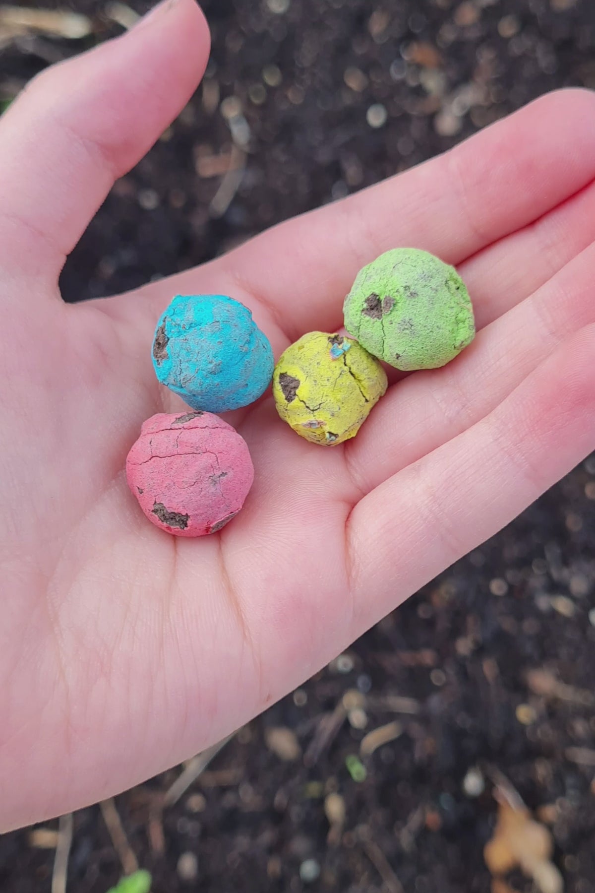 Saatbomben, Seedmombs, Geschenke für Kinder